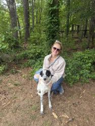 Reunited Female Dog last seen Jackson st and Roscoe , Newnan, GA 30263