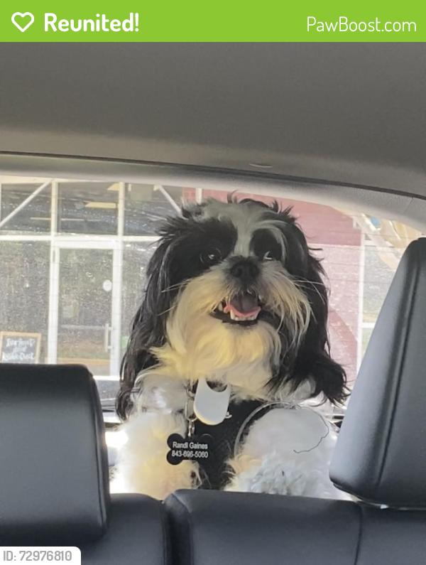 Reunited Male Dog last seen MOORSEVILLE RD SALISBURY NC 28144 , Salisbury, NC 28146