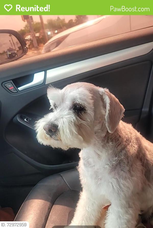 Reunited Female Dog last seen Tierra Este and Pebble Hills, El Paso, TX 79938