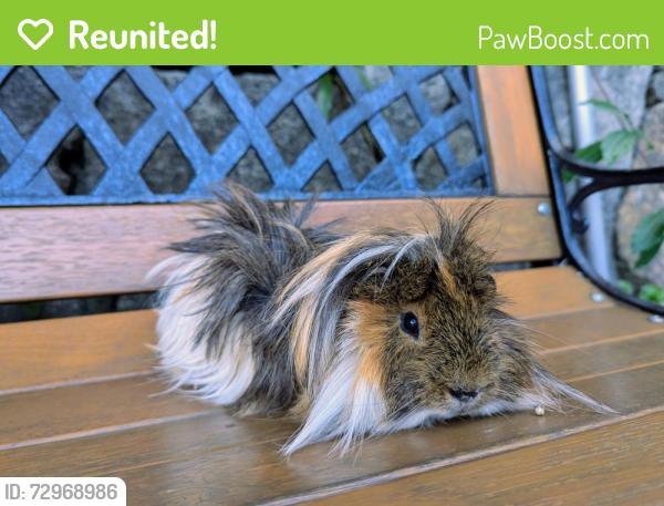 Reunited Male Other last seen Crestview street, Kenore, Kenmore, QLD 4069