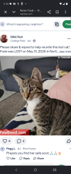 Lost Female Cat last seen North Bluff Apts , North Charleston, SC 29406