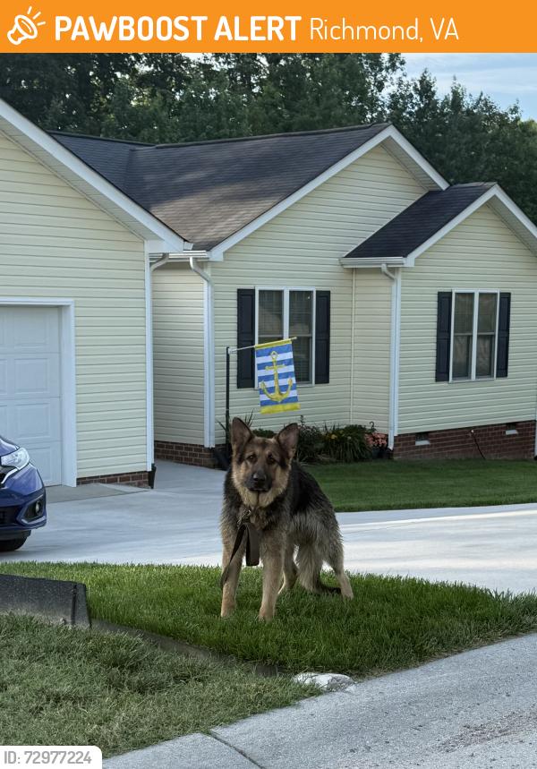 Found/Stray Unknown Dog last seen Middle Road and Twilight Lane, Richmond, VA 23235