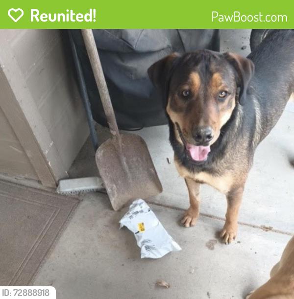 Reunited Male Dog last seen Glenway, Fruitland, ID 97914