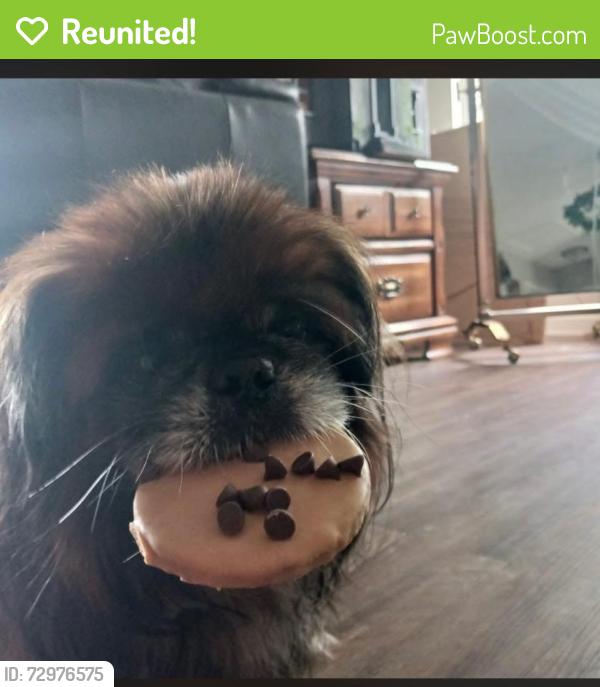 Reunited Male Dog last seen Gladstell, Conroe, TX 77301