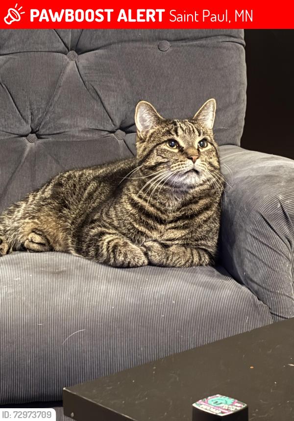Lost Male Cat last seen Near Carling Dr., Saint Paul, MN 55108