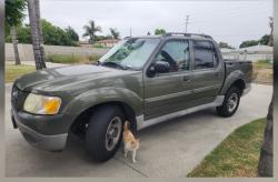 Reunited Female Cat last seen Flower/ California Ave, Bellflower, CA 90706