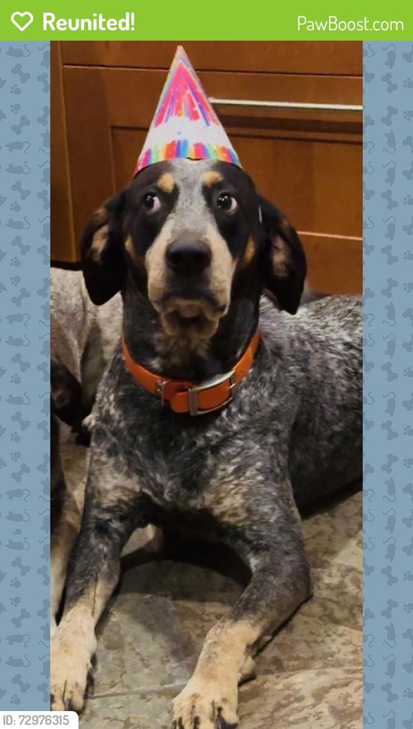 Reunited Male Dog last seen Near Co Rd 755, Webster, FL 33597, USA, Webster, FL 33597