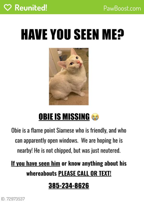 Reunited Male Cat last seen Near S. 2300 E. , Salt Lake City, UT 84109