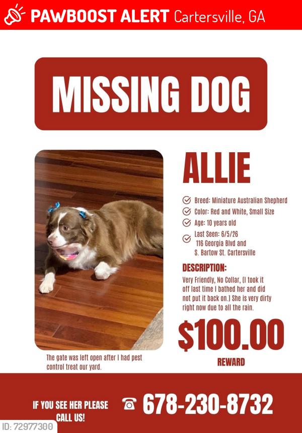 Lost Female Dog last seen Near Georgia Blvd & S Bartow St. Cartersville, Ga, Cartersville, GA 30120