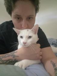 Lost Male Cat last seen Cross fit by old salvation army , Bend, OR 97702