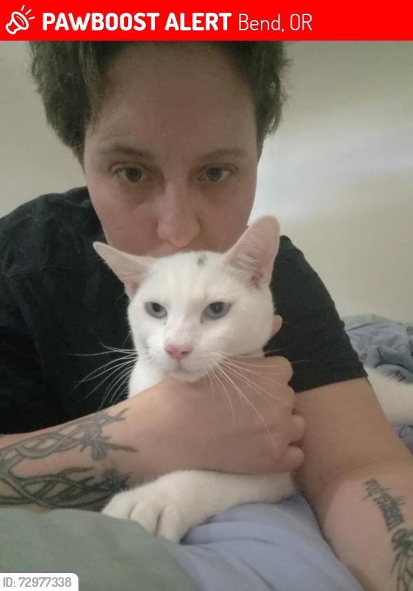 Lost Male Cat last seen Cross fit by old salvation army , Bend, OR 97702