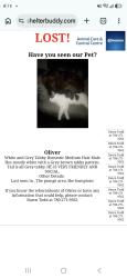 Reunited Male Cat last seen The grabge, Edmonton, AB 