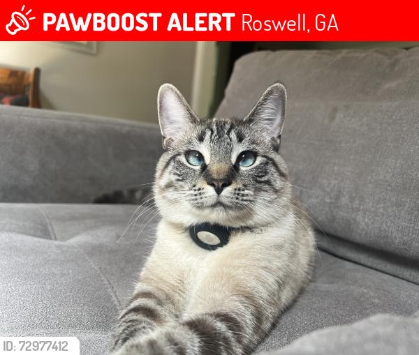 Lost Female Cat last seen Tulip Tree Trace and Chaffin and King road and Hardscrabble, Roswell, GA 30075