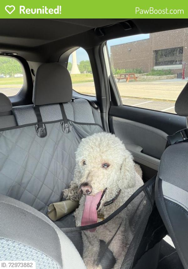 Reunited Male Dog last seen 18th Ave NW & Cascade St NW, Rochester, MN 55901