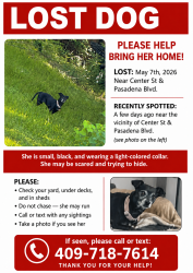 Lost Female Dog last seen neighborhood behind some apartments around the area of  center st. and Pasadena., Deer Park, TX 77536