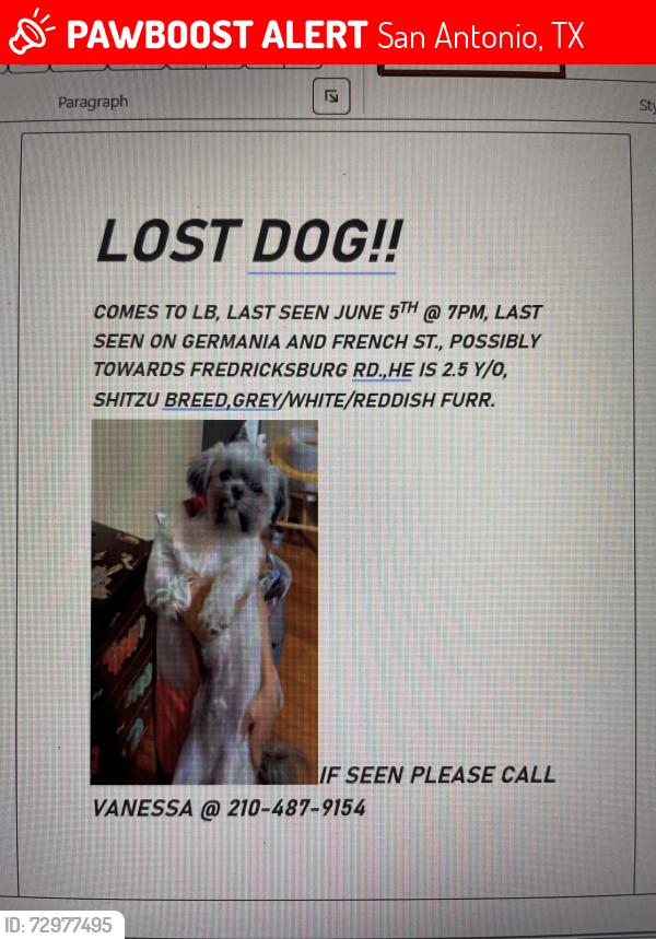Lost Male Dog last seen Woodlawn lake by French pl and germania street , San Antonio, TX 78228