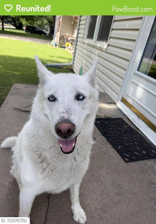 Reunited Unknown Dog last seen McCormick and Glenn St, Wichita, KS 67213