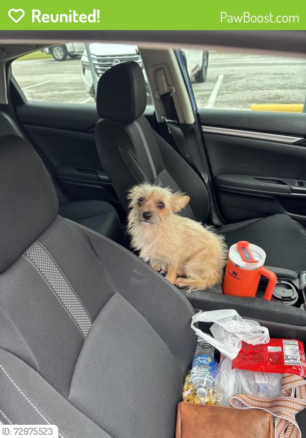 Reunited Female Dog last seen E Main St, Grand Prairie, TX, USA, Grand Prairie, TX 75050