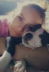 Lost Female Dog last seen S Belmont ave, Springfield, OH 45503