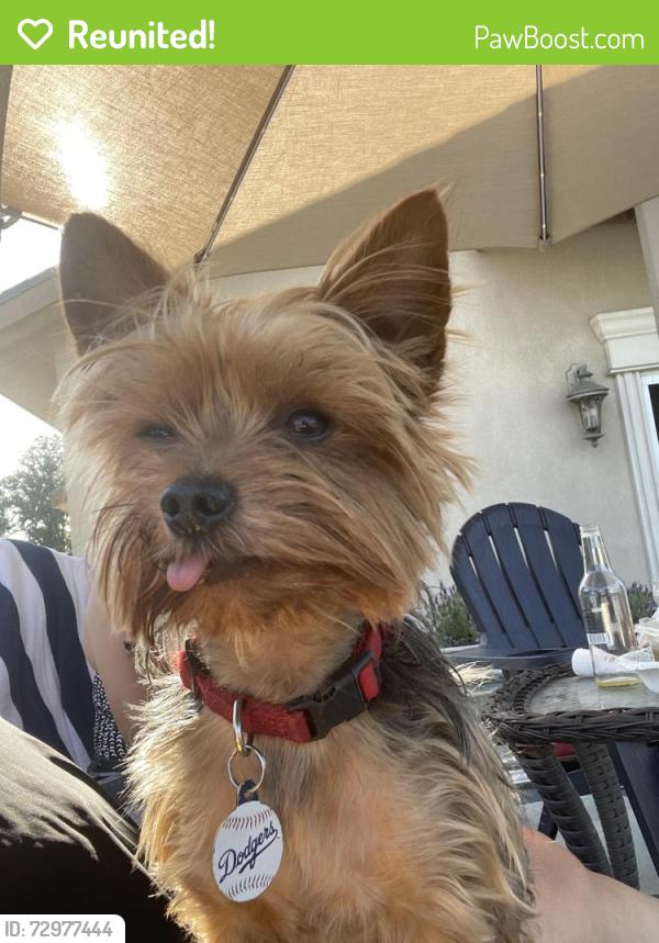 Reunited Male Dog last seen Cypress and Lambert , El Monte, CA 91731