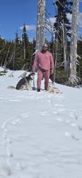 Reunited Male Dog last seen Se 183nd st, Maple Valley, WA 98038