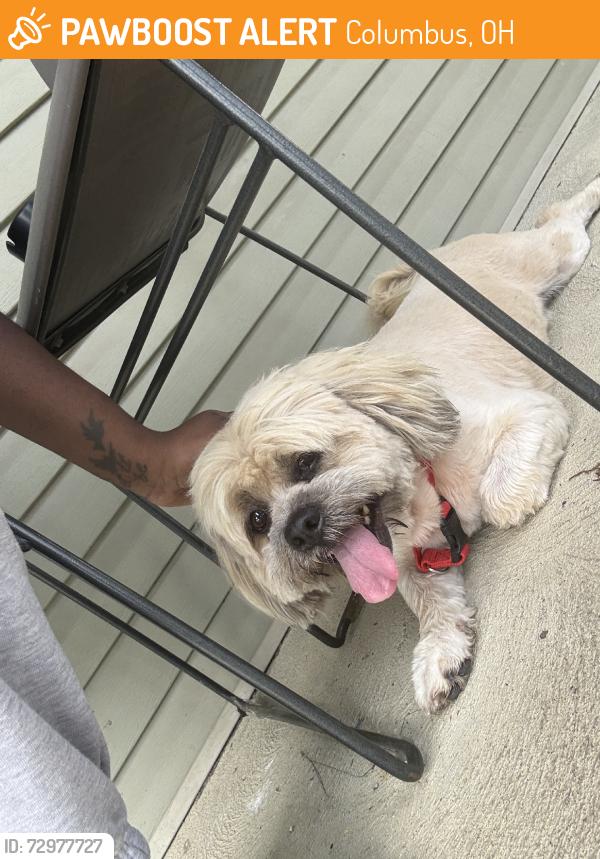 Found/Stray Unknown Dog last seen Sullivant, Columbus, OH 43204