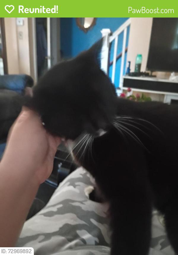 Reunited Male Cat last seen Tuckahoe / Rainbow DR, Cleveland, OH 44111