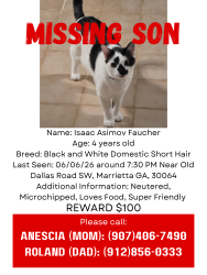 Lost Male Cat last seen Near old dallas rd sw marrietta ga 30064, Marietta, GA 30064