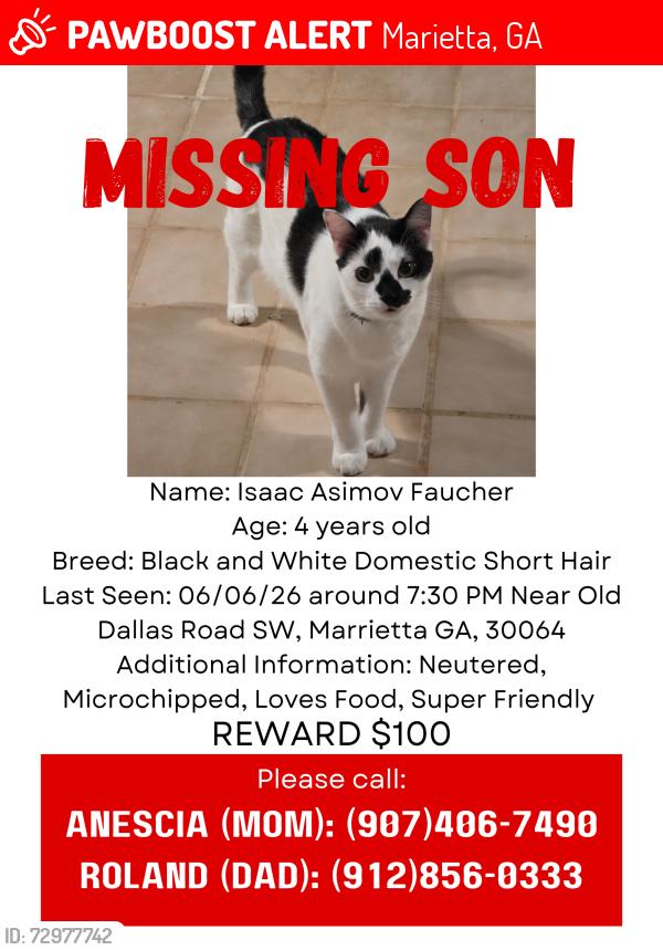 Lost Male Cat last seen Near old dallas rd sw marrietta ga 30064, Marietta, GA 30064