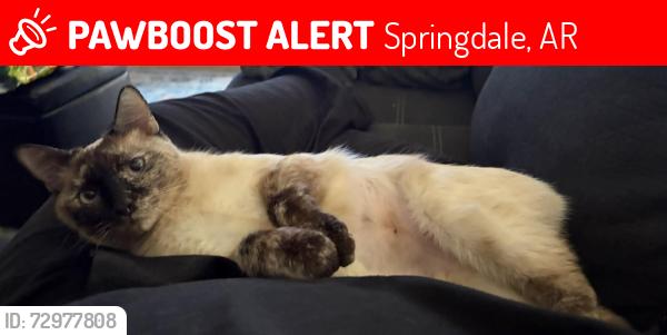 Lost Female Cat last seen Links apmts Springdale , Springdale, AR 72762