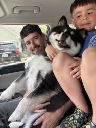 Reunited Male Dog last seen Southport Road and Venetian Way, Indianapolis, IN 46217