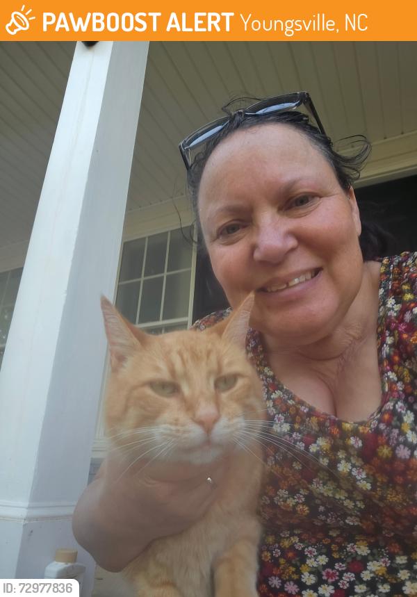 Found/Stray Male Cat last seen Purnell Rd, Wake Forest, Youngsville, NC 27596
