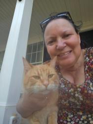 Found/Stray Male Cat last seen Purnell Rd, Wake Forest, Youngsville, NC 27596