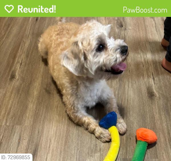 Reunited Male Dog last seen Winter elm lane, Charlotte, NC 28227