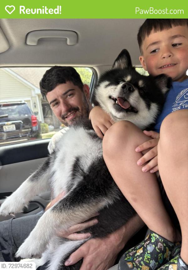 Reunited Male Dog last seen Southport Road and Venetian Way, Indianapolis, IN 46217
