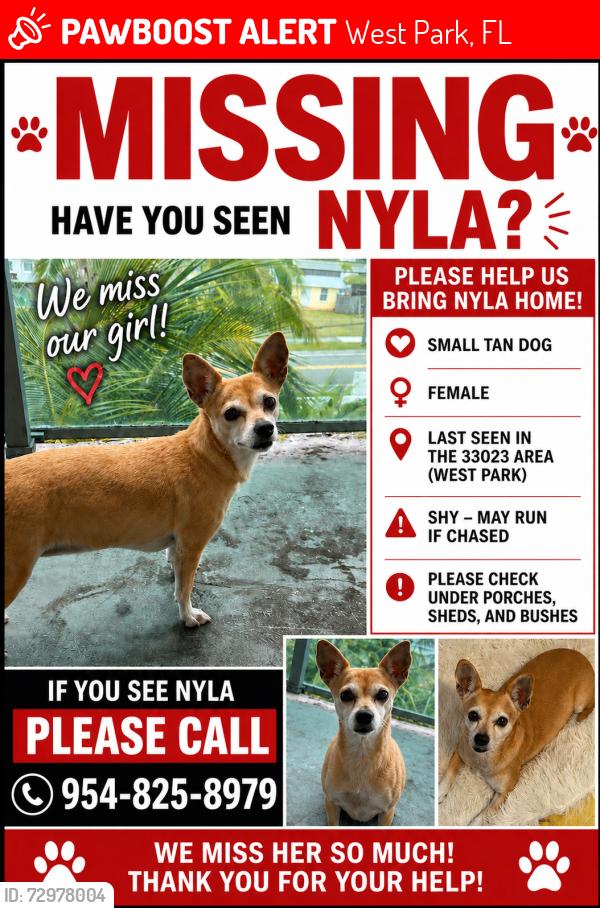 Lost Female Dog last seen West park , West Park, FL 33023