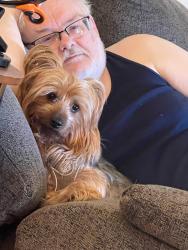 Lost Male Dog last seen Marshall Rd, Monaca, PA 15061