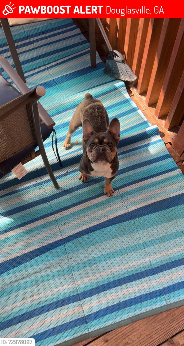 Lost Female Dog last seen Kings hwy , Douglasville, GA 30135