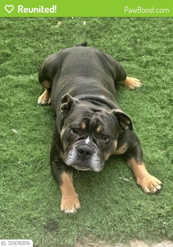 Reunited Male Dog last seen Near Boeing St, Moreno Valley, CA 92553, USA, Moreno Valley, CA 92553