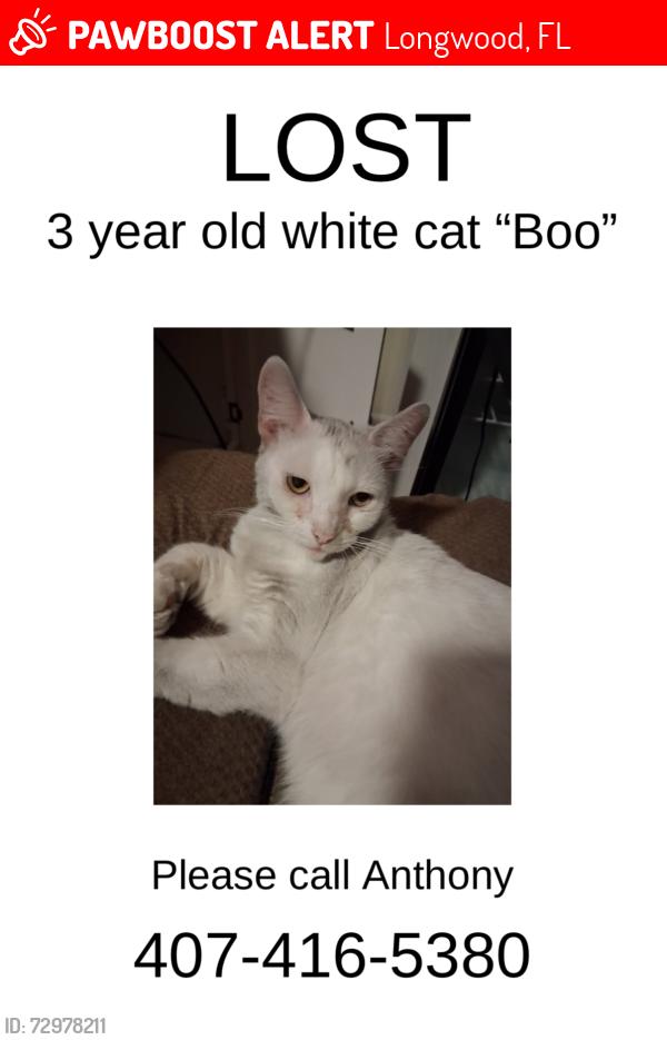 Lost Female Cat last seen Bonnie Trail Longwood FL, Longwood, FL 32750