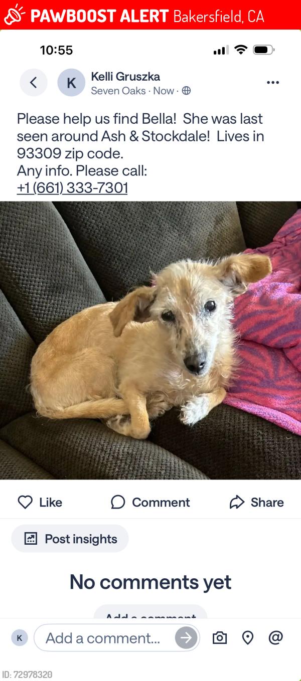 Lost Female Dog last seen Ming and Ashe , Bakersfield, CA 93309