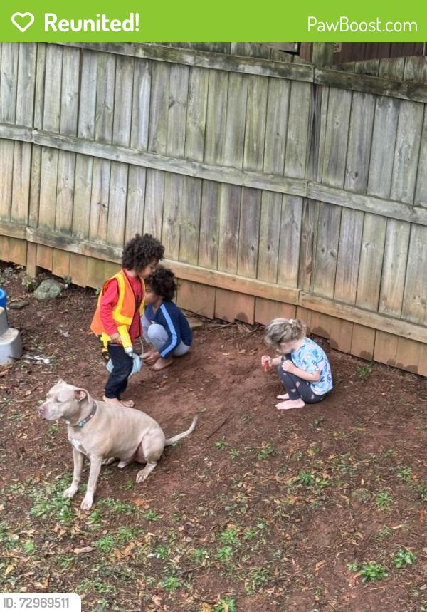 Reunited Male Dog last seen Old Ivy path McDonough ga , McDonough, GA 30253