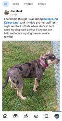 Reunited Female Dog last seen Downtown  100 main street area, Columbus, OH 43215