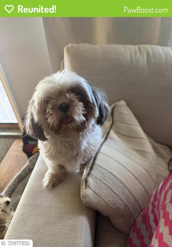 Reunited Female Dog last seen  8 mile Auto Zone , Detroit, MI 48221