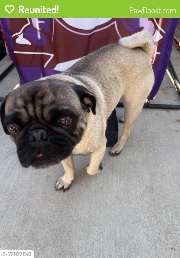 Reunited Male Dog last seen College , Modesto, CA 95350