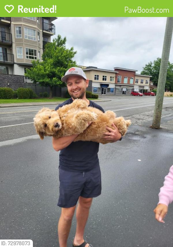 Reunited Male Dog last seen Chilliwack river road , Chilliwack, BC V2R