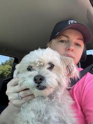 Reunited Female Dog last seen Hillglen Drive and Maverick Court, Modesto, CA 95355