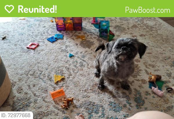 Reunited Female Dog last seen Novella Dr. Neighborhood, Fort Worth, TX 76134