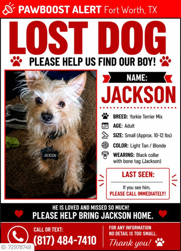 Lost Male Dog last seen 16th Street  and Lincoln Ave 76164, Fort Worth, TX 76164