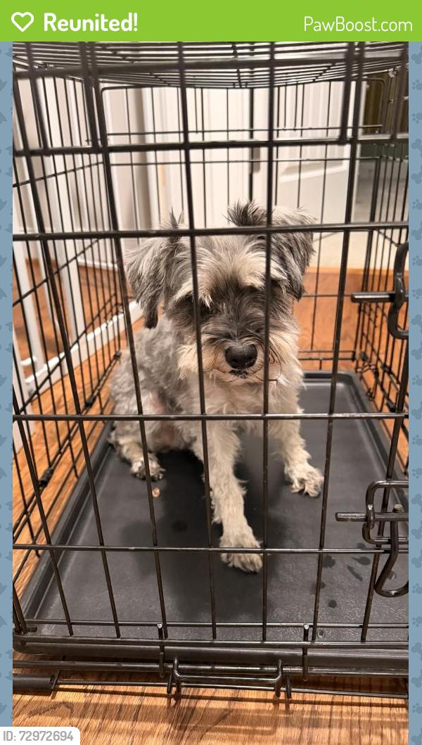 Reunited Unknown Dog last seen Tarheel Rd by Creek Crossing development , Benson, NC 27504